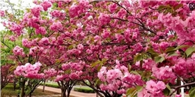 圖片1.png 圖片1.png