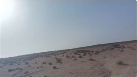 圖片14.png 圖片14.png