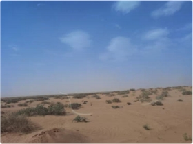 圖片15.png 圖片15.png