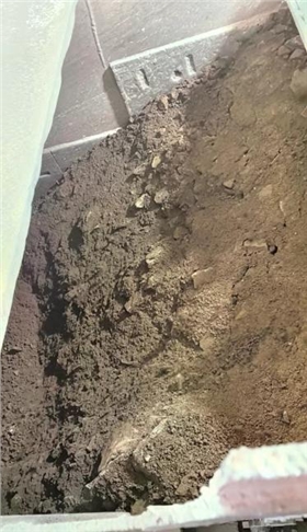 圖片21.png 圖片21.png