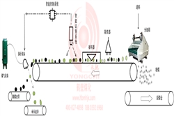 MHAI智能分揀系統(tǒng) MHAI智能分揀系統(tǒng)